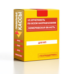 Отчетность_ИП_Кемеровская область